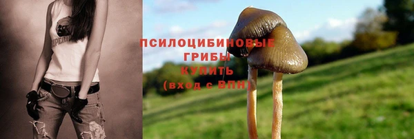 герыч Нефтекумск