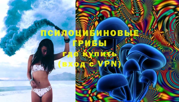 сатива Нефтегорск