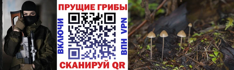 Галлюциногенные грибы Magic Shrooms  Козьмодемьянск 
